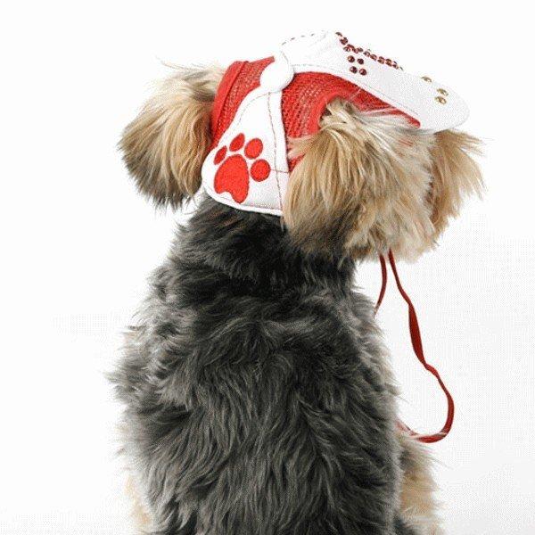 ペット用帽子 犬用帽子 猫用帽子 ボールキャップ 紫外線対策 アウトドア 夏バテ防止 日除け 75番 野球帽子 キャップ メール便送料無料 Buyee Buyee 提供一站式最全面最專業現地yahoo Japan拍賣代bid代拍代購服務 Bot Online