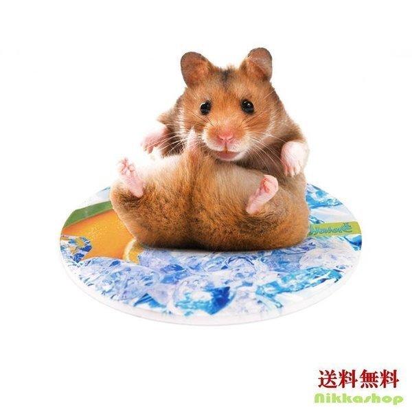 鳥 小動物用ペットグッズ 熱中症対策 グッズの人気商品 通販 価格比較 価格 Com