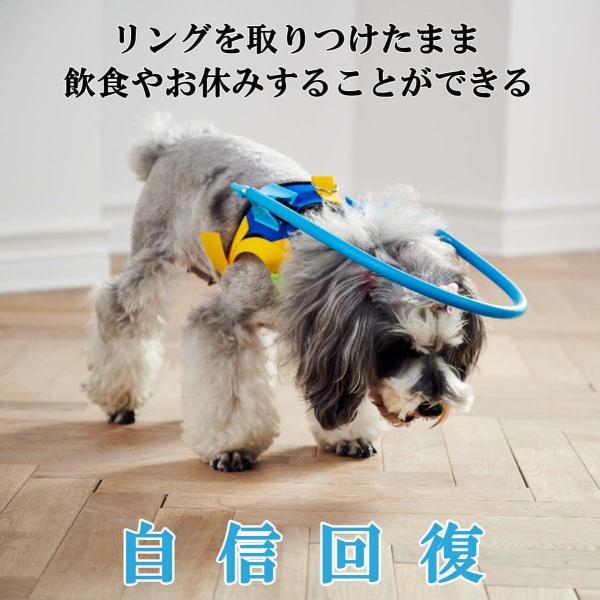 ペット用盲目リング アイ フェイスガード 盲犬杖 調整可能 Xxs Lサイズ 犬 猫 老犬 高齢犬 介護用品 目の不自由 白内障 視覚障害 宅配便送料無料 Buyee Buyee Jasa Perwakilan Pembelian Barang Online Di Jepang