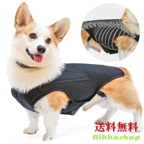 エスツーコルセット オーダーメイド 犬用コルセット ヘルニア 製品案内｜動物専門の義肢装具を製作 - 東洋装具医療器具製作所