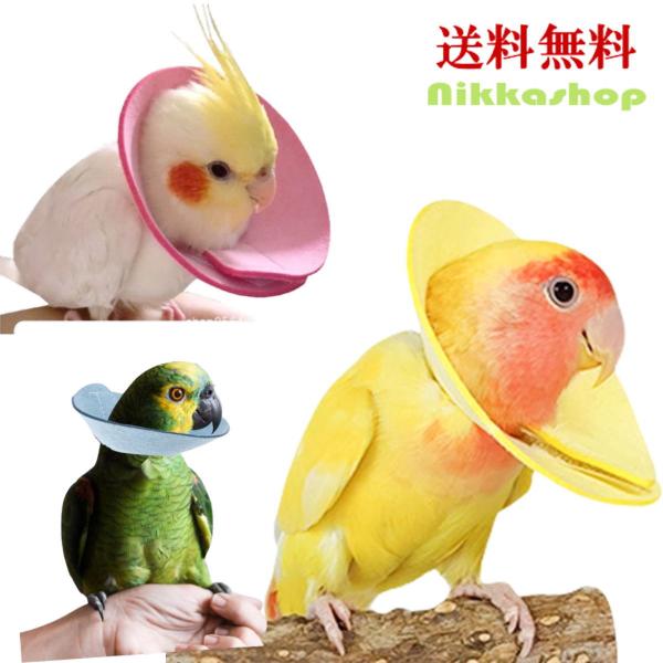 鳥用エリザベスカラーは、各種インコ・小型のオウム等の怪我や自咬み毛引き予防するための必需品です。このエリザベスカラーは、手術後のケアや傷口保護、羽根抜き防止に効果的で、小鳥から小型のオウムまで幅広いサイズのSからLまで対応しています。特にフ...