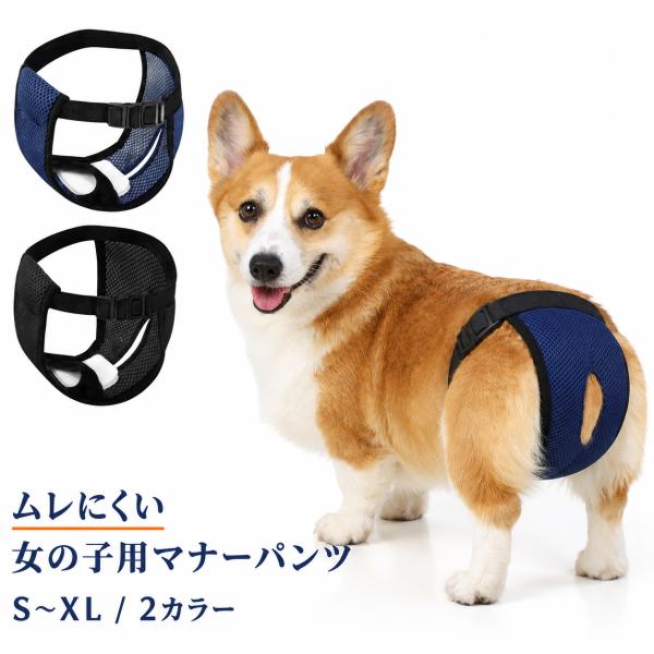犬 マナーパンツ メス 女の子 メッシュ おむつカバー パッド付き サイズ調整 S-XL 通気 軽量 ズレにくい 生理 発情期 尿もれ 介護