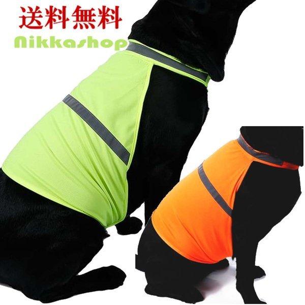   ˃xXg Z[teB[hbOxXg SxXgiS-LTCYj h AEghA AEghA s ł ^ ^ ^