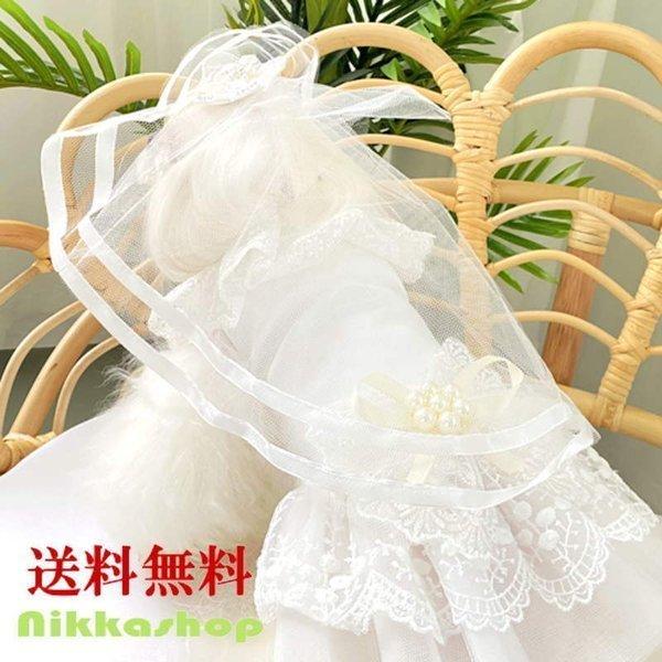    EGfBOx[ EGfBOF[ 蕨 Ԃ tH[} ANZT[  RXv  j