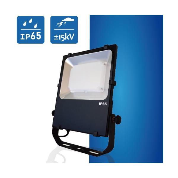 LED投光器 NLFL50-AC-S 3mケーブル 防雨プラグ (日機直販)
