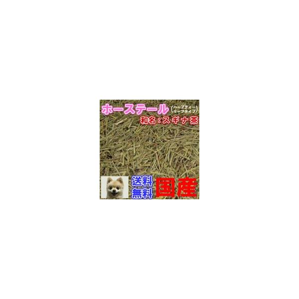 ハーブティー「国産」ホーステール（スギナ茶） チャック付新鮮真空パック100g 「残留農薬検査済み」（メール便送料無料）お茶 ハーブティー すぎな茶 つくし茶