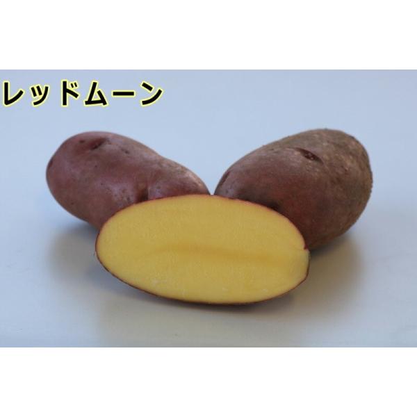 yWKCE킢zubh[v̎킶Ⴊ@TOOytWKCpPQ{`Q{z