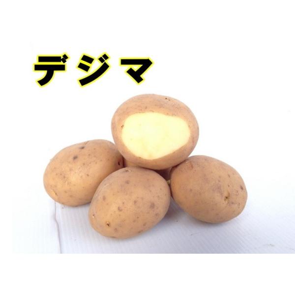 1971年に命名登録された比較的古い品種で、暖地二期作向け品種です。交配は北海道でされましたが、長崎で育成されたことから「出島」にちなんで「デジマ」と名付けられました。肉質は粉質と粘質の中間程度ですが、煮崩れはやや少なく、肉じゃがや煮物はも...