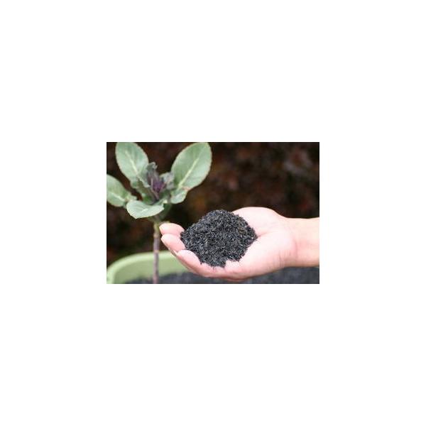 苗の植え付け、種をまいたあと、球根を植えつけたあとの（地表の）乾燥防止に・・・夏は、ナスやトマト苗を植えたあとの（地表の）乾燥防止、草むしりの軽減に・・・土壌改良剤としても効果的！