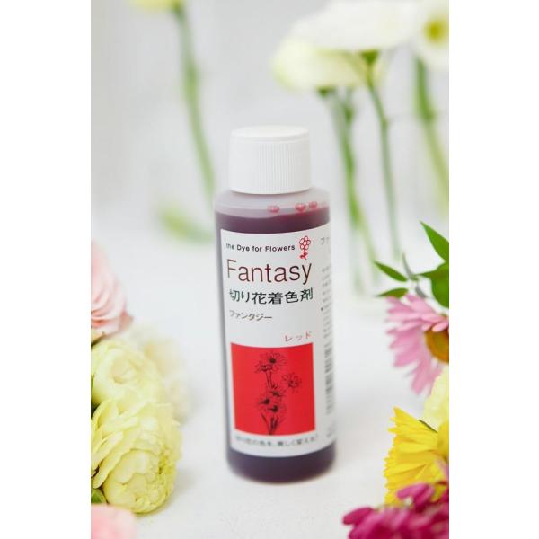吸い上げタイプの切り花着色剤です。切り花に原液を吸わせることでお好きな色に染めることができます。異なる色同士を混ぜ、お好きな色を作ることもできます。パレス化学,ぱれす化学,Fantasy（ファンタジー）,Fantasy（ふぁんたじー）