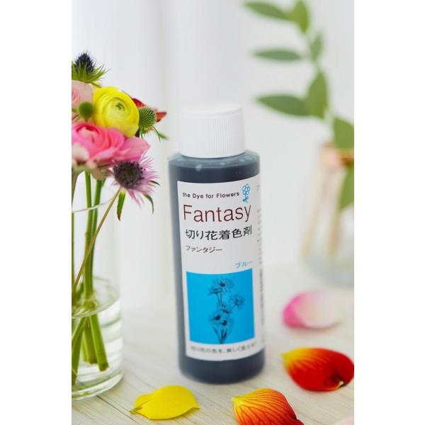 吸い上げタイプの切り花着色剤です。切り花に原液を吸わせることでお好きな色に染めることができます。異なる色同士を混ぜ、お好きな色を作ることもできます。パレス化学,ぱれす化学,Fantasy（ファンタジー）,Fantasy（ふぁんたじー）