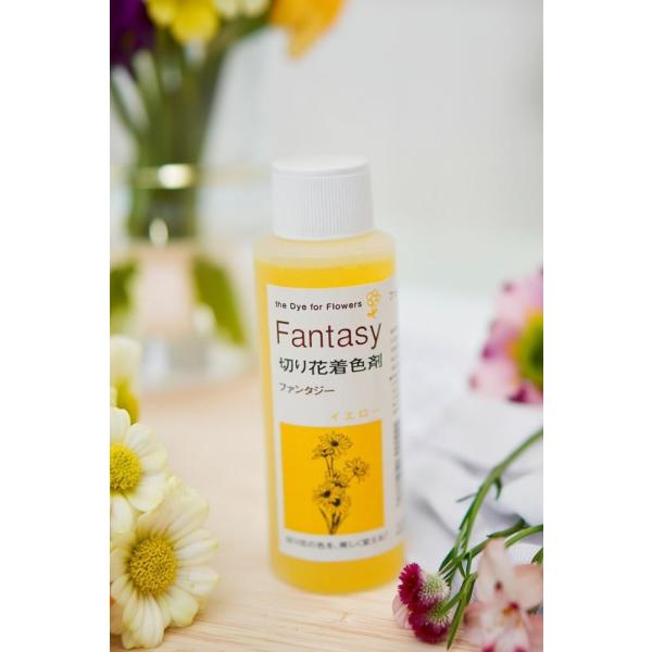 吸い上げタイプの切り花着色剤です。切り花に原液を吸わせることでお好きな色に染めることができます。異なる色同士を混ぜ、お好きな色を作ることもできます。パレス化学,ぱれす化学,Fantasy（ファンタジー）,Fantasy（ふぁんたじー）