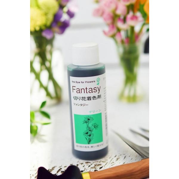 吸い上げタイプの切り花着色剤です。切り花に原液を吸わせることでお好きな色に染めることができます。異なる色同士を混ぜ、お好きな色を作ることもできます。パレス化学,ぱれす化学,Fantasy（ファンタジー）,Fantasy（ふぁんたじー）