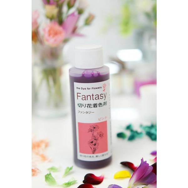 吸い上げタイプの切り花着色剤です。切り花に原液を吸わせることでお好きな色に染めることができます。異なる色同士を混ぜ、お好きな色を作ることもできます。パレス化学,ぱれす化学,Fantasy（ファンタジー）,Fantasy（ふぁんたじー）
