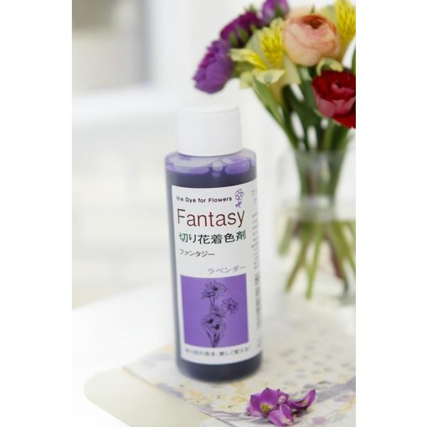 吸い上げタイプの切り花着色剤です。切り花に原液を吸わせることでお好きな色に染めることができます。異なる色同士を混ぜ、お好きな色を作ることもできます。パレス化学,ぱれす化学,Fantasy（ファンタジー）,Fantasy（ふぁんたじー）
