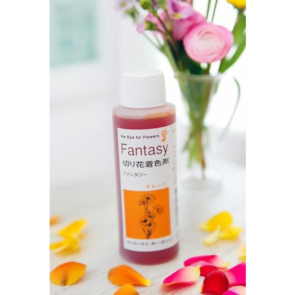 吸い上げタイプの切り花着色剤です。切り花に原液を吸わせることでお好きな色に染めることができます。異なる色同士を混ぜ、お好きな色を作ることもできます。パレス化学,ぱれす化学,Fantasy（ファンタジー）,Fantasy（ふぁんたじー）