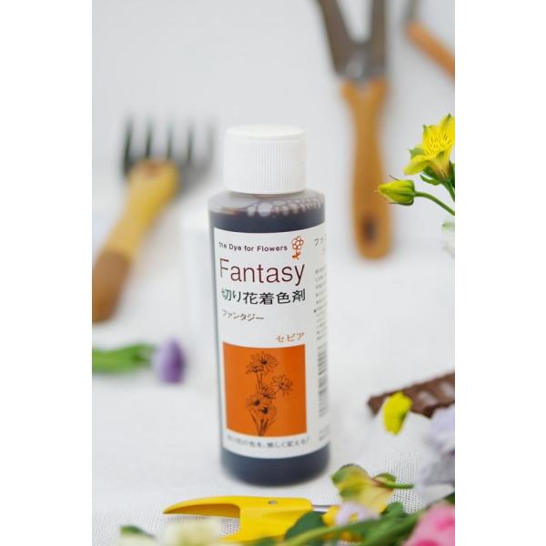 吸い上げタイプの切り花着色剤です。切り花に原液を吸わせることでお好きな色に染めることができます。異なる色同士を混ぜ、お好きな色を作ることもできます。パレス化学,ぱれす化学,Fantasy（ファンタジー）,Fantasy（ふぁんたじー）