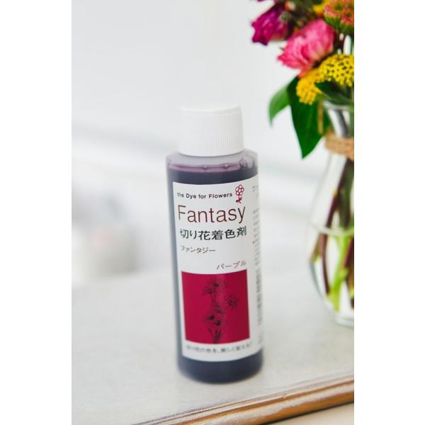 吸い上げタイプの切り花着色剤です。切り花に原液を吸わせることでお好きな色に染めることができます。異なる色同士を混ぜ、お好きな色を作ることもできます。パレス化学,ぱれす化学,Fantasy（ファンタジー）,Fantasy（ふぁんたじー）