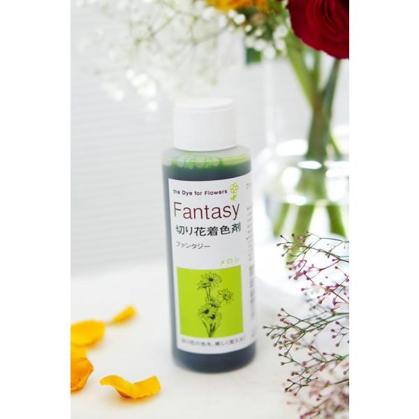 吸い上げタイプの切り花着色剤です。切り花に原液を吸わせることでお好きな色に染めることができます。異なる色同士を混ぜ、お好きな色を作ることもできます。パレス化学,ぱれす化学,Fantasy（ファンタジー）,Fantasy（ふぁんたじー）