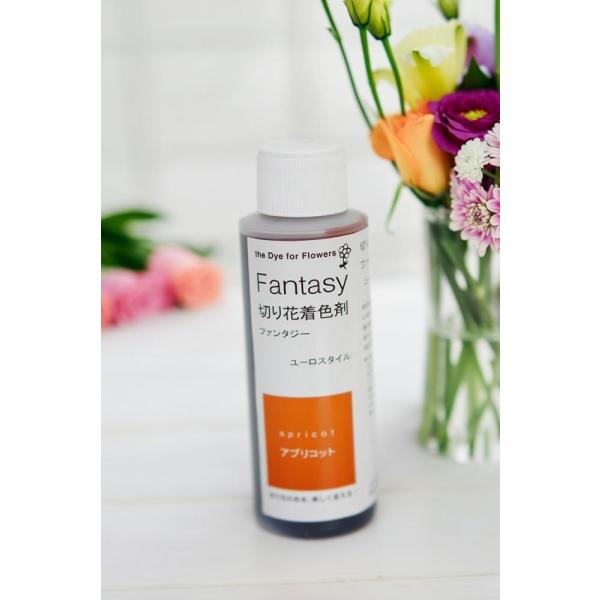 吸い上げタイプの切り花着色剤です。切り花に原液を吸わせることでお好きな色に染めることができます。異なる色同士を混ぜ、お好きな色を作ることもできます。パレス化学,ぱれす化学,Fantasy（ファンタジー）,Fantasy（ふぁんたじー）