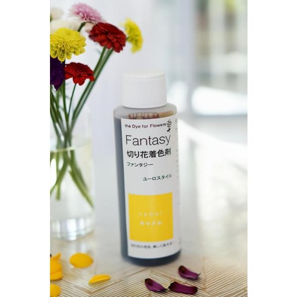 吸い上げタイプの切り花着色剤です。切り花に原液を吸わせることでお好きな色に染めることができます。異なる色同士を混ぜ、お好きな色を作ることもできます。パレス化学,ぱれす化学,Fantasy（ファンタジー）,Fantasy（ふぁんたじー）
