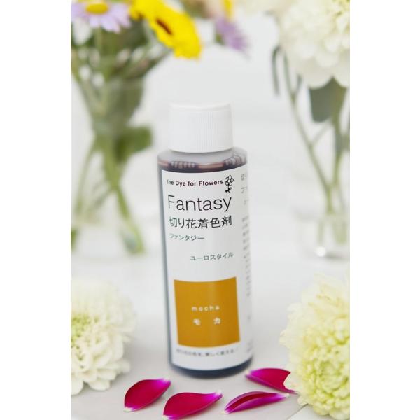 吸い上げタイプの切り花着色剤です。切り花に原液を吸わせることでお好きな色に染めることができます。異なる色同士を混ぜ、お好きな色を作ることもできます。パレス化学,ぱれす化学,Fantasy（ファンタジー）,Fantasy（ふぁんたじー）