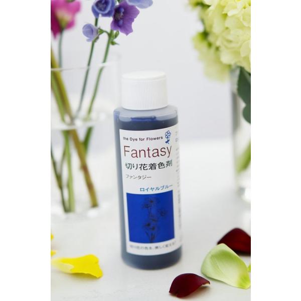 吸い上げタイプの切り花着色剤です。切り花に原液を吸わせることでお好きな色に染めることができます。異なる色同士を混ぜ、お好きな色を作ることもできます。パレス化学,ぱれす化学,Fantasy（ファンタジー）,Fantasy（ふぁんたじー）