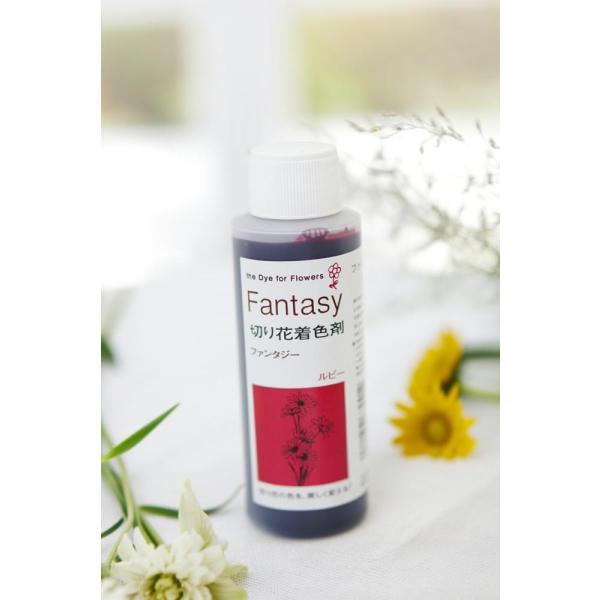 吸い上げタイプの切り花着色剤です。切り花に原液を吸わせることでお好きな色に染めることができます。異なる色同士を混ぜ、お好きな色を作ることもできます。パレス化学,ぱれす化学,Fantasy（ファンタジー）,Fantasy（ふぁんたじー）