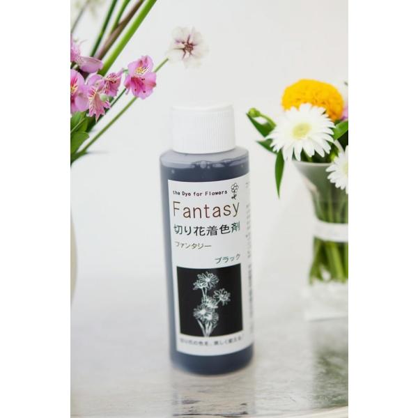 吸い上げタイプの切り花着色剤です。切り花に原液を吸わせることでお好きな色に染めることができます。異なる色同士を混ぜ、お好きな色を作ることもできます。パレス化学,ぱれす化学,Fantasy（ファンタジー）,Fantasy（ふぁんたじー）