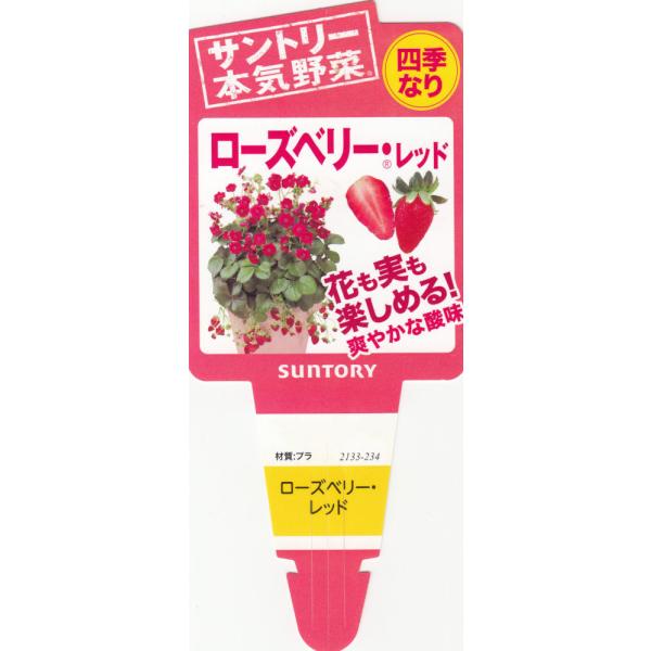 サントリー本気野菜 イチゴ ローズベリー レッド 9cmポット苗 2本セット 3月下旬 4月上旬発送分予約 Buyee Buyee 日本の通販商品 オークションの代理入札 代理購入