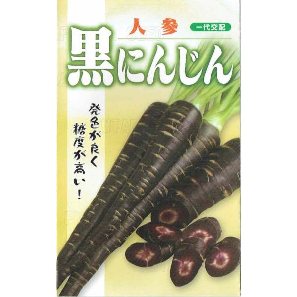 t^oc ɂ񂶂 R[gq300yXΉz