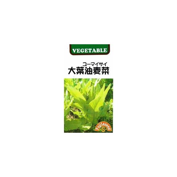 中国上海では大人気のレタスです。細長い緑の葉は、歯ざわりがとても良く、ビタミン・カルシウムなど栄養豊富で、甘味の感じられる風味は独特で大変美味です。栽培も容易で、暑さや寒さに強い性質です。生でサラダに、また名前のとおり油と相性が良く、油炒め...
