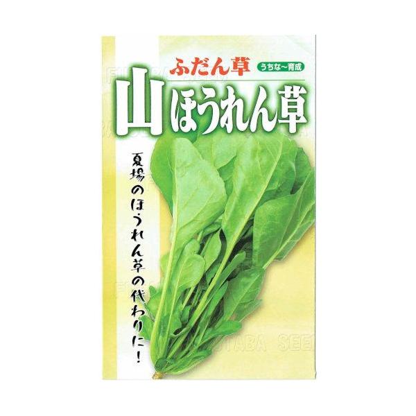 t^oc@t_\E Rق񂻂 20mlyXΉz