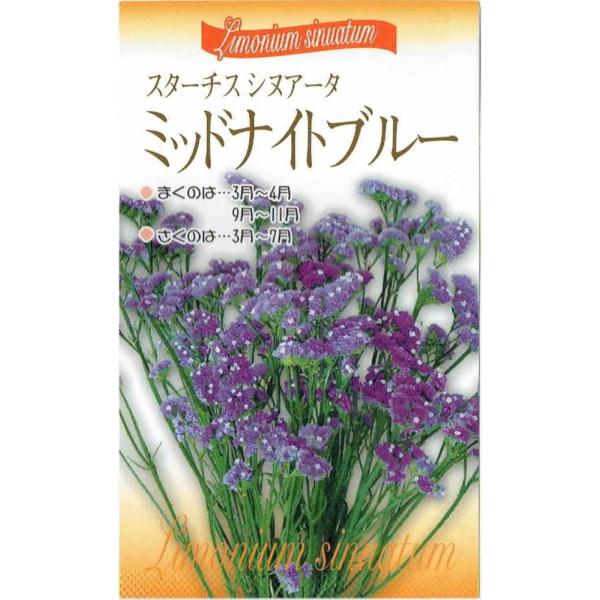 ԉc@X^[`X VkA[^u~bhiCgu[ṽ^l@0.2ml