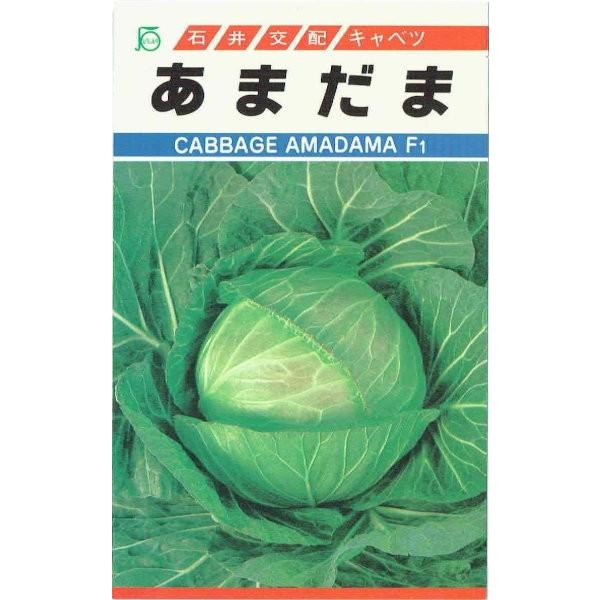 Έ@Lxc@܂܁@[eʁF200]