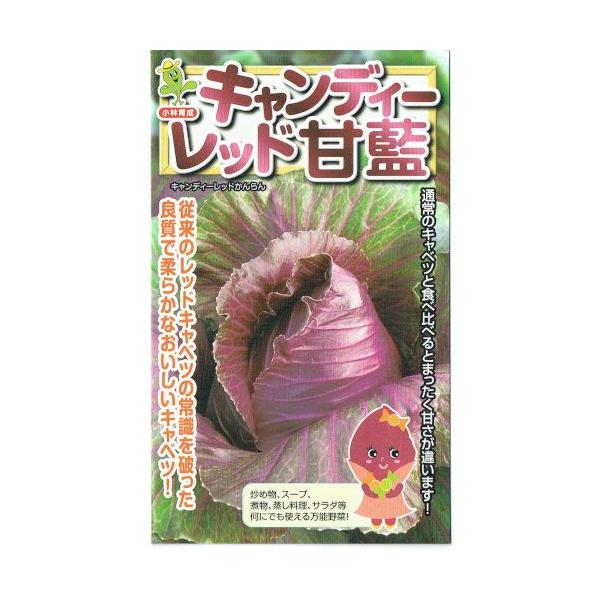 юc@Lxc LfB[bh@[eʁF1ml]