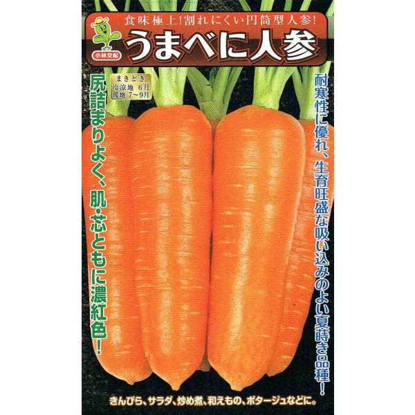 юc@ɂ񂶂@܂ׂɐlQ@[eʁF5ml]