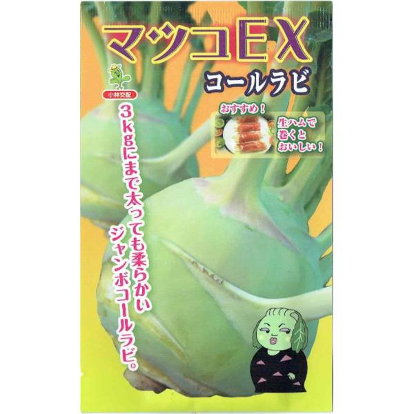 юc@R[r@u}cREXṽ^l@[eʁF40]