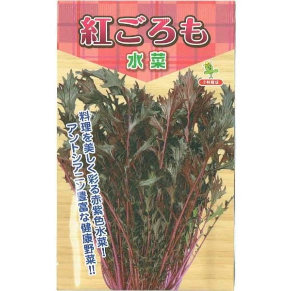 юc@~Yi@ugig߁Eׂɂjṽ^l[eʁF5ml]