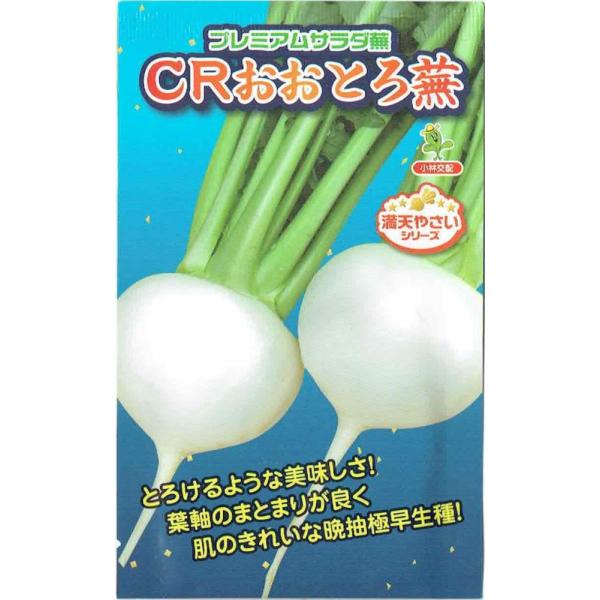 юc@Ju@uCRƂ땓ṽ^l@[eʁF2ml]