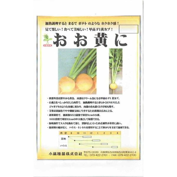 юc@Ju@uɁṽ^l@[eʁF100]