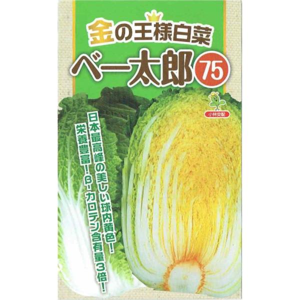 юc@̉l؁ux[YVTṽ^l@[eʁF50]