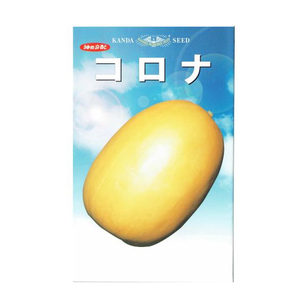 極早生30日で収穫でき2〜3番果まで品質低下しない大豊産種です。濃黄金色で見事な俵型に揃います。350gの果実は白色肉で甘味と強烈な芳香が身上です。雑メロンのように裂果や内容不安定がありません。わが国の気候風土に一番適したまくわ瓜です。つる...