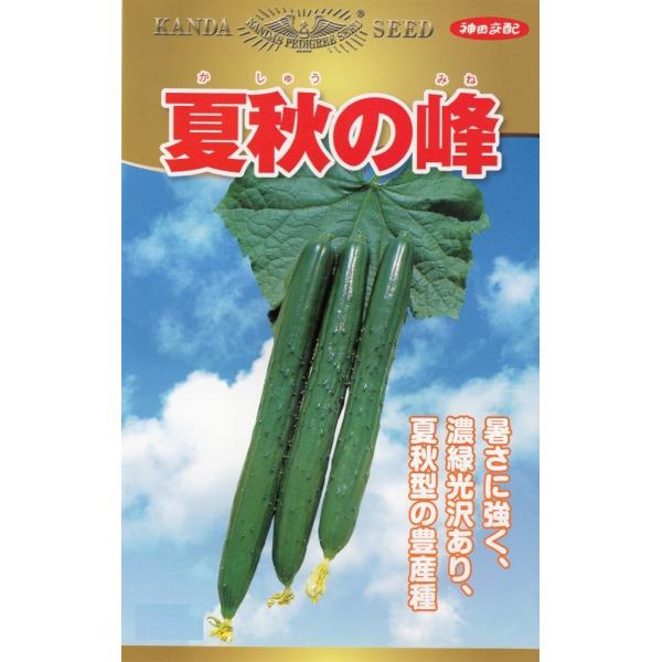 _c_uLE ďH̕ṽ^l@[eʁF1.3ml]