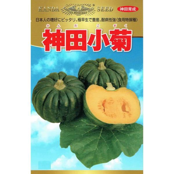 腰高菊座型17〜20条の溝が整一に通る美しいかぼちゃです。平均800〜900g。小型でしかも果梗下がはっきりと凹んだ整ったかたちに仕上がります。水田利用の早出しトンネル栽培からハウス跡作の抑制栽培まで幅広い作型に適します。カボチャの種子,カ...