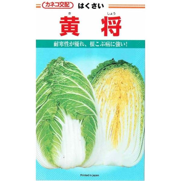 JlRc@nNTC@@[eʁF1ml]