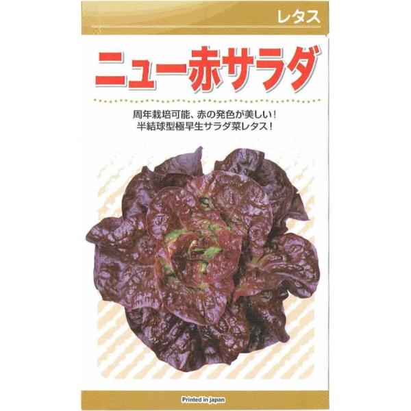 JlRc@^Xuj[ԃT_ṽ^l@[eʁF2.3ml]