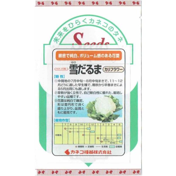 JlRc@Jt[uႾ܁ṽ^l@[eʁF1ml]