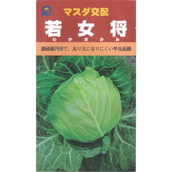 c̎@}X_z@Lxc@Ꮧ@me:180n