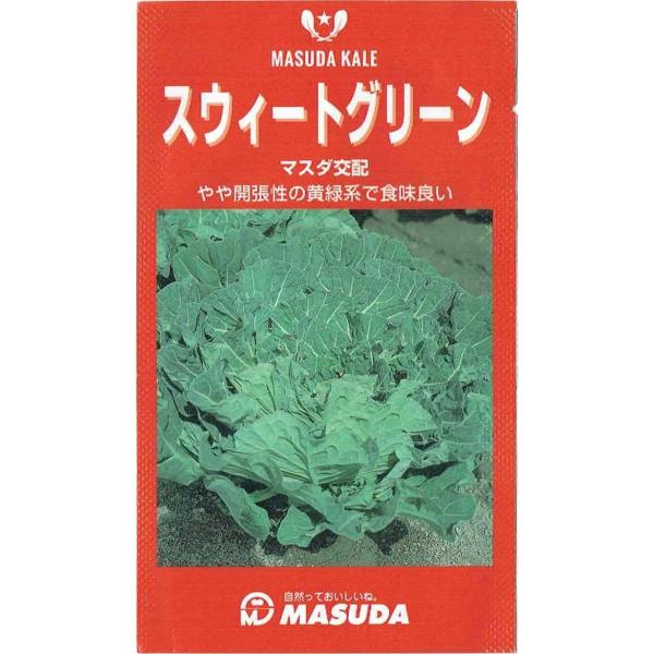 c̎@P[uXEB[gO[ṽ^l@[eʁF200]yi햼FXEB[gO[_o^ԍF17702z